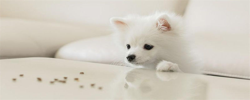 What are the symptoms of dog hair moulting period?